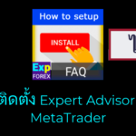 วิดีโอเกี่ยวกับวิธีติดตั้ง/ตั้งค่า Expert Advisor?