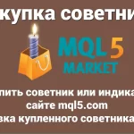 Если вы заинтересованы в торговле с экспертными советниками, вы можете узнать, как их купить, обновить и скачать. К счастью, есть несколько способов сделать это. Вы можете купить экспертного советника на торговой площадке или напрямую на сайте разработчика, а затем обновить его по мере необходимости. Кроме того, вы можете скачать экспертного советника из библиотеки или магазина торговой платформы.