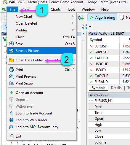 Apri Cartella Dati in MetaTrader