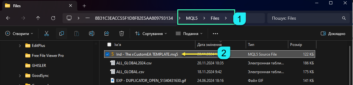 Interfaccia dell'Editor MQL per xCustomEA