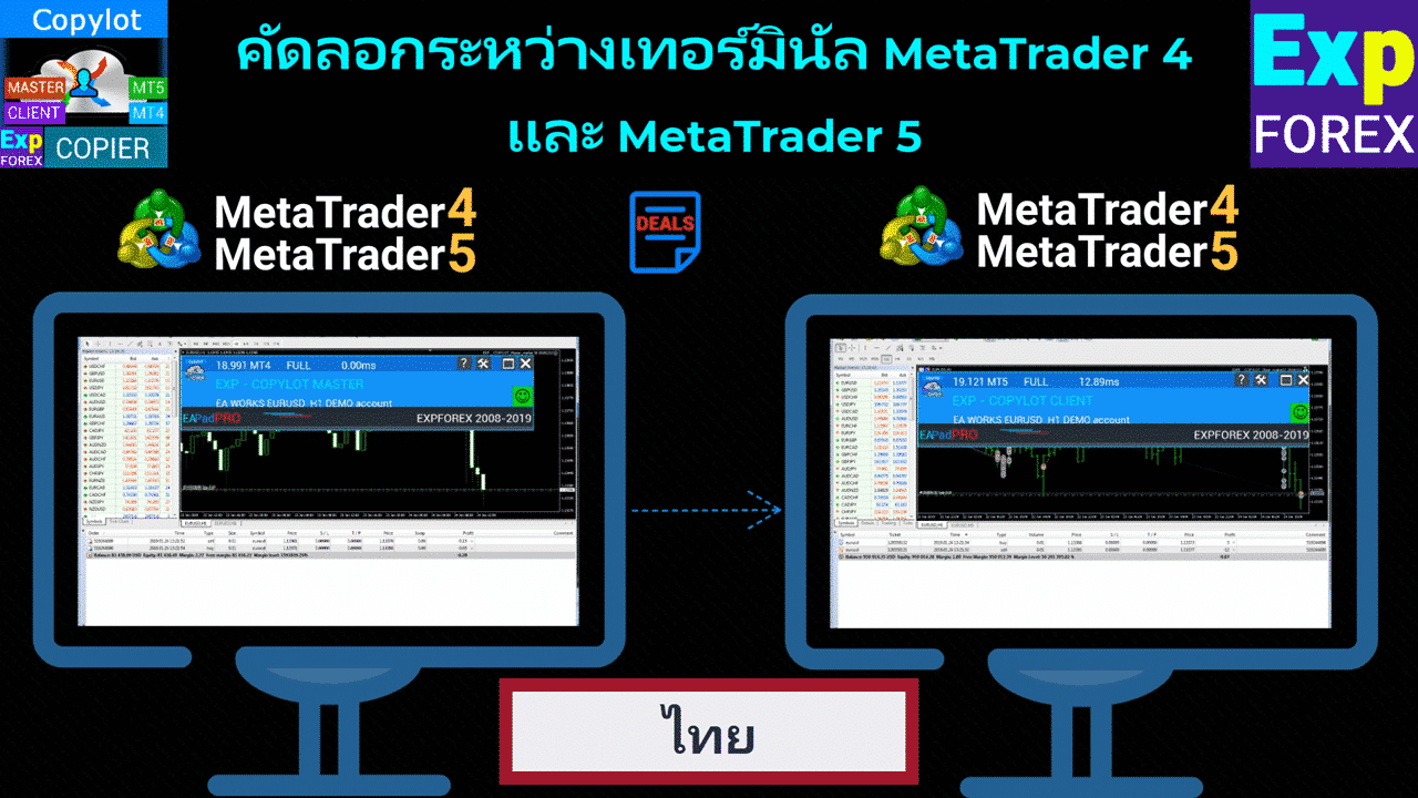 ภาพตัวอย่างวิดีโอเกี่ยวกับดีคอมไพเลอร์ Forex และ MetaTrader